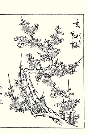 photo22.jpg