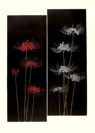 photo37.jpg