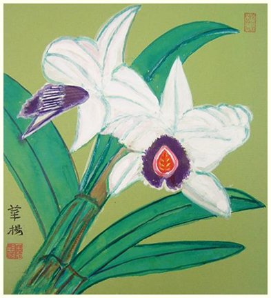 photo17.jpg