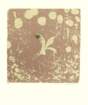 photo5_small.jpg