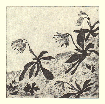 photo10.jpg