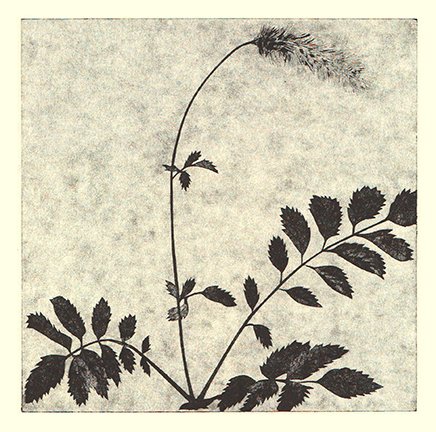 photo103.jpg