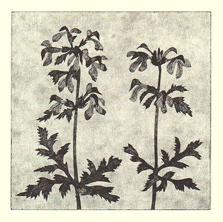 photo107.jpg