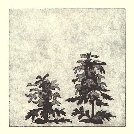 photo119.jpg