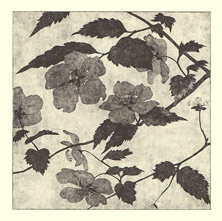 photo14.jpg
