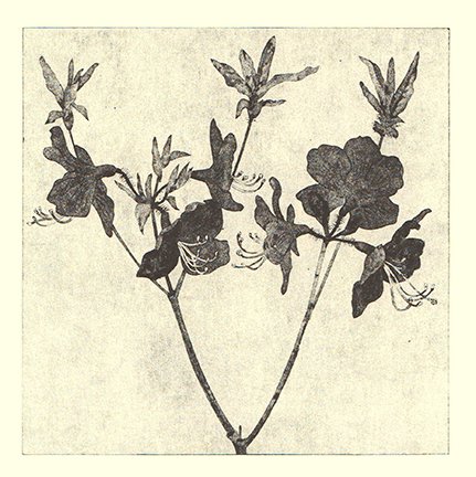 photo19.jpg