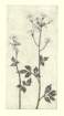 photo20_small.jpg