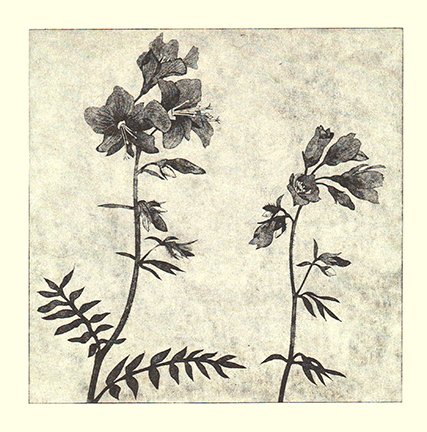 photo21.jpg