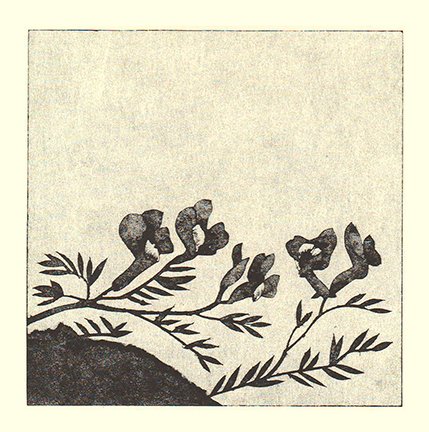 photo22.jpg