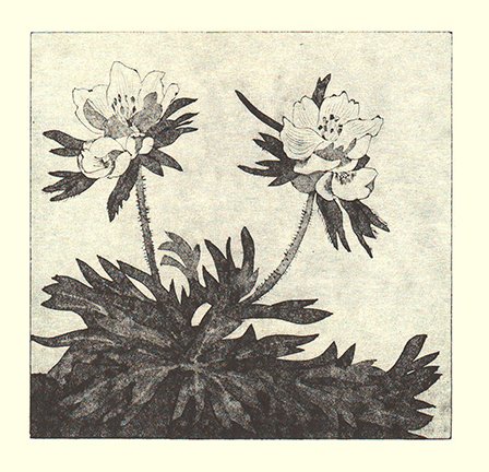 photo24.jpg