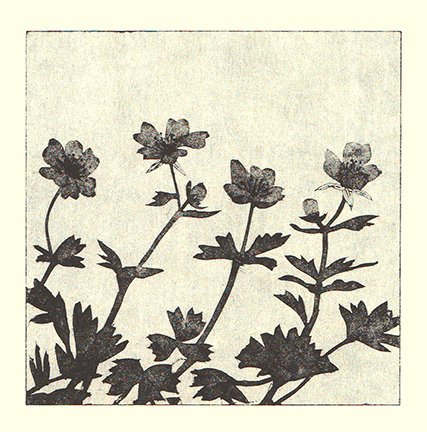 photo27.jpg