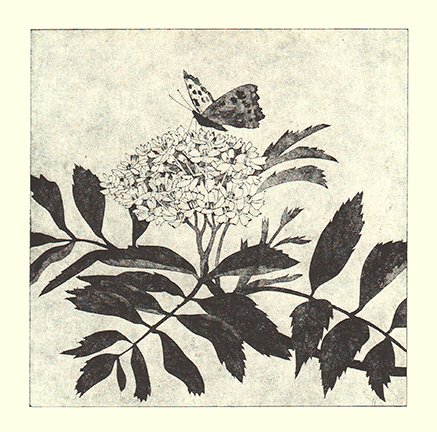 photo29.jpg