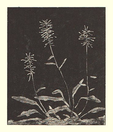 photo38.jpg