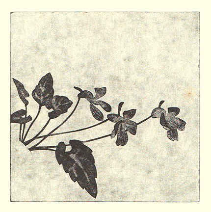 photo4.jpg