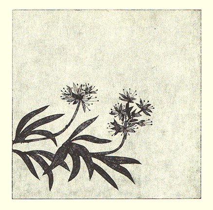 photo40.jpg