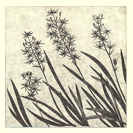 photo47.jpg