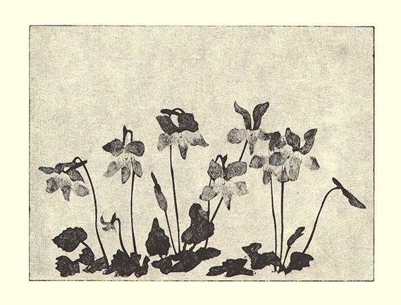 photo6.jpg