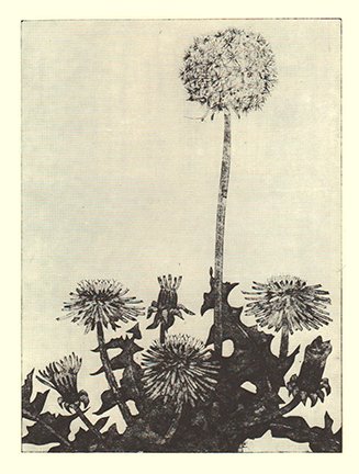 photo64.jpg