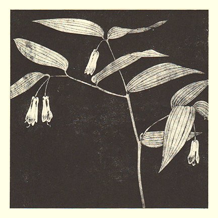photo67.jpg