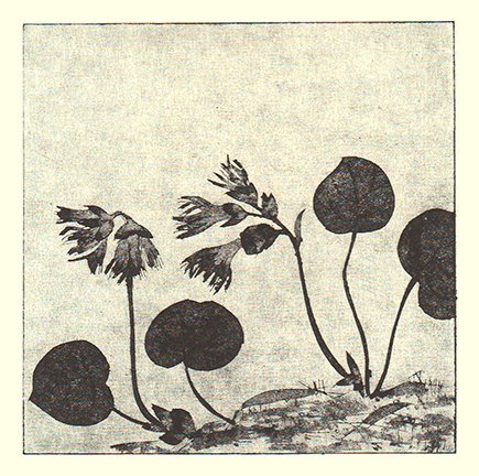 photo69.jpg