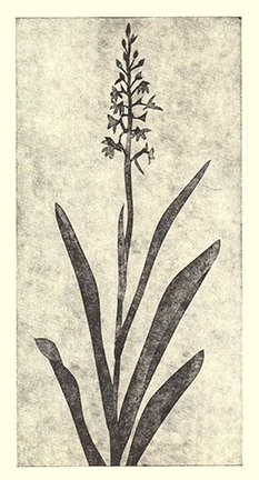 photo72.jpg