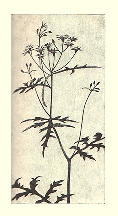 photo73.jpg
