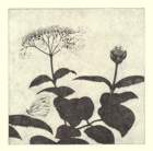 photo74_small.jpg