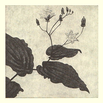 photo75.jpg