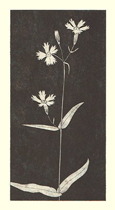 photo77.jpg