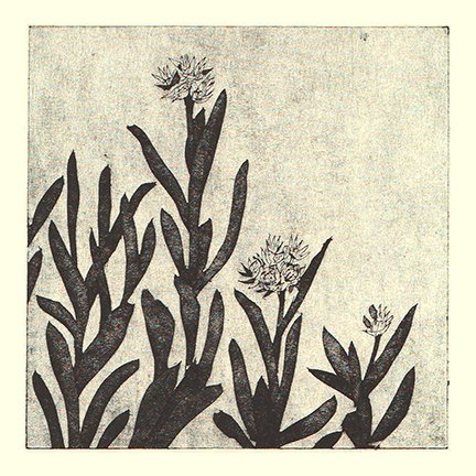 photo84.jpg