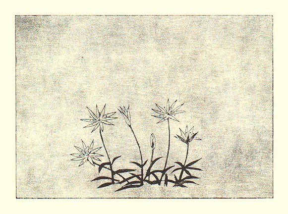 photo86.jpg