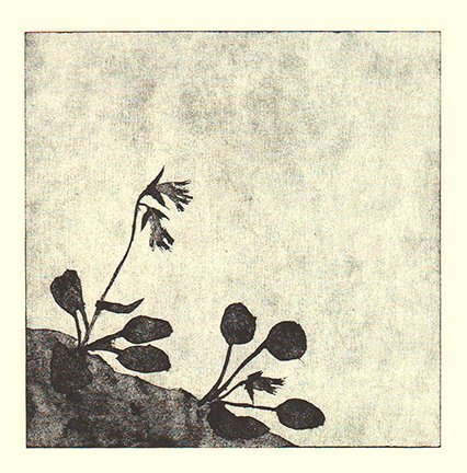 photo90.jpg