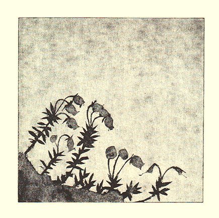 photo91.jpg