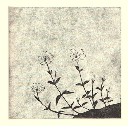 photo93.jpg