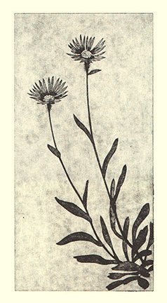 photo95.jpg