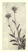 photo95_small.jpg