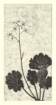 photo98_small.jpg