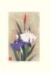 photo18_small.jpg