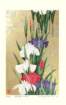 photo40_small.jpg