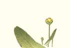 photo7_small.jpg