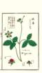 photo12_small.jpg