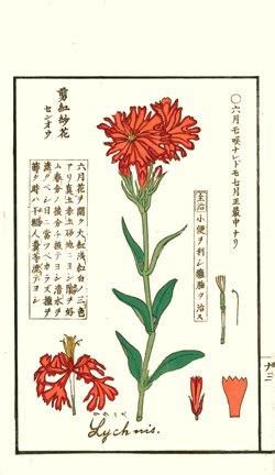 photo22.jpg
