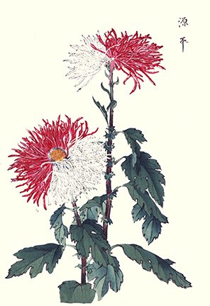 photo24.jpg
