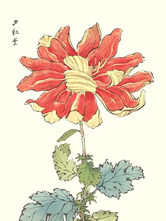 photo43.jpg