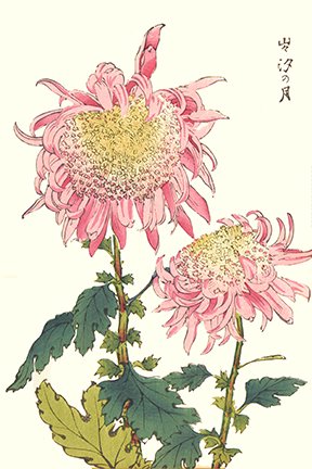 photo45.jpg