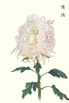 photo55.jpg