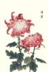 photo57_small.jpg