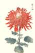 photo58_small.jpg