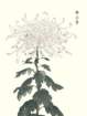 photo60_small.jpg