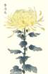 photo61_small.jpg